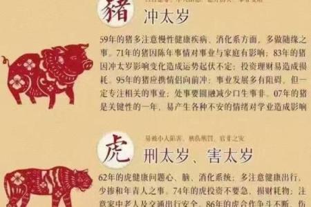 本命年蛇男的幸运色与数字是什么