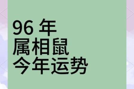 属鼠本命年如何把握感情机会