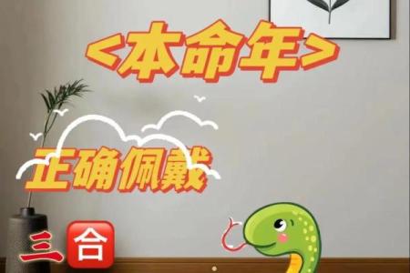 本命年蛇男如何提升自我认知与生活质量