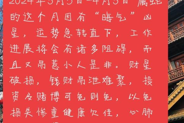 蛇女本命年职场挑战如何突破