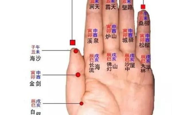 钗环金命在命理中的象征与影响