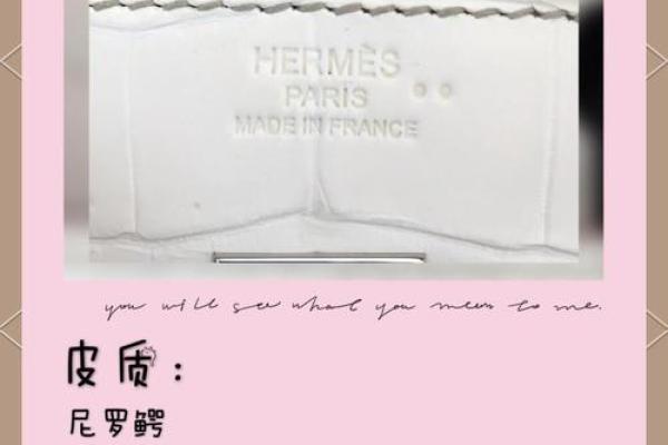 从五行角度看鳄鱼皮的文化和价值