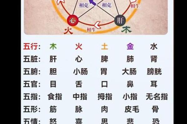 超五行属性揭秘：你知道自己属于哪种属性吗？