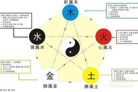 从八字看命中缺水的深层原因