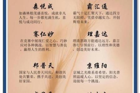 创意十足的粮油公司起名推荐技巧与灵感分享