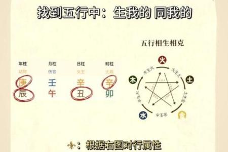 超五行属性揭秘：你知道自己属于哪种属性吗？
