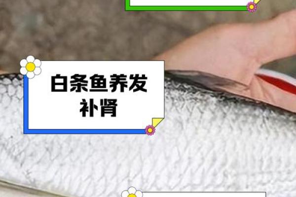 白色招财鱼助旺运势提升财运的风水奥秘