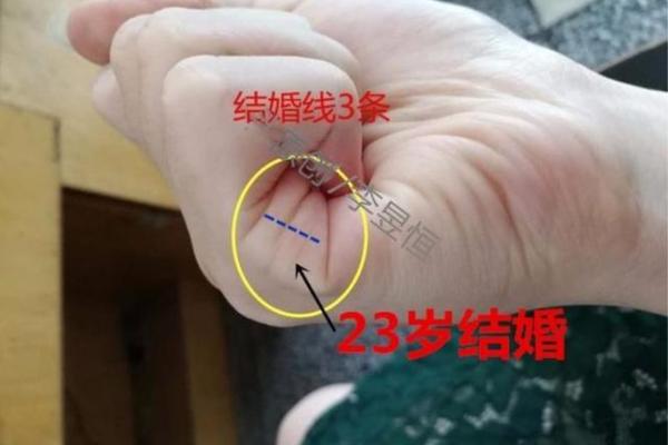 从特朗普生辰八字看他成败的关键因素