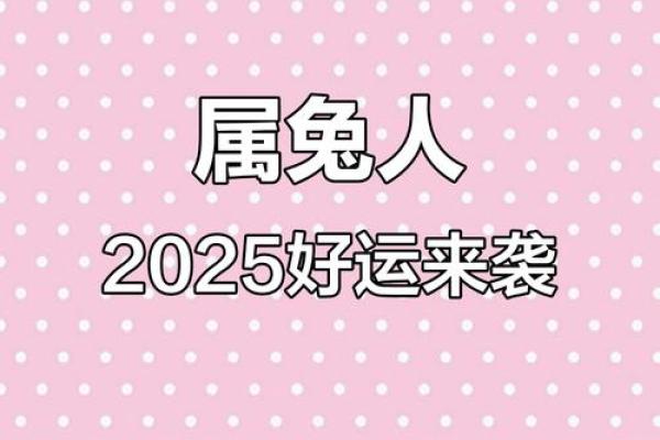 属兔全年度运势分析及每月运程走势