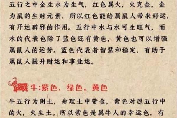 男龙女鼠相配的星座运势解析