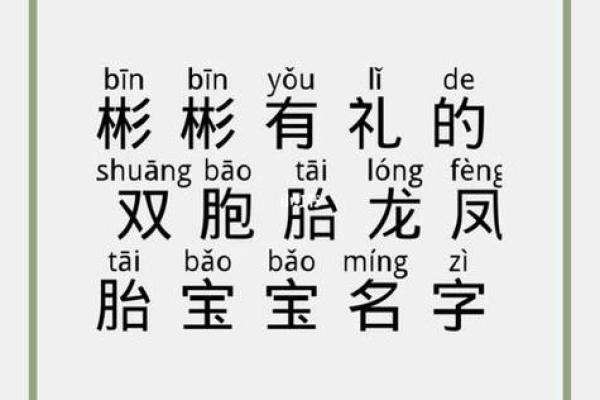 给双胞胎取名的灵感与建议 给双胞胎取名的灵感与建议