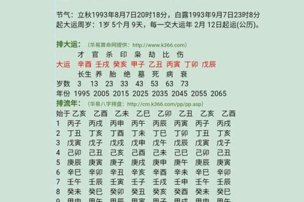 出生的人五行属什么？揭开命理之谜