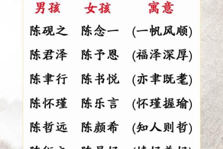 陈姓男宝宝取名推荐与寓意解析