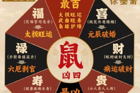 属鼠本命年如何提升家庭和谐