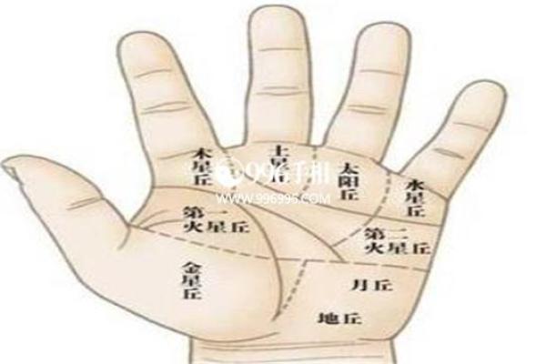 富贵命图揭秘：你的手纹暗示着什么