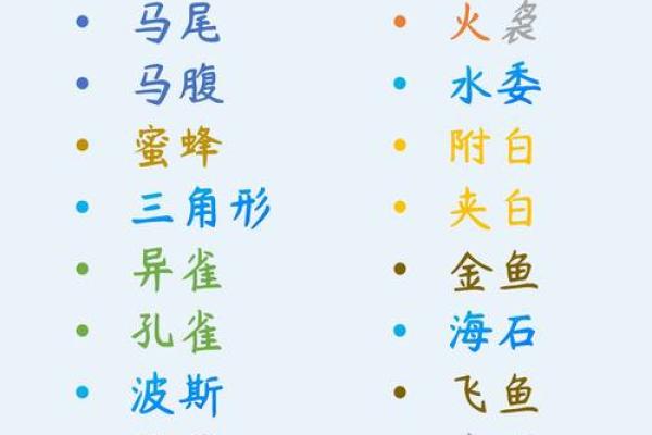 不同文化中星星的命名方式与象征意义