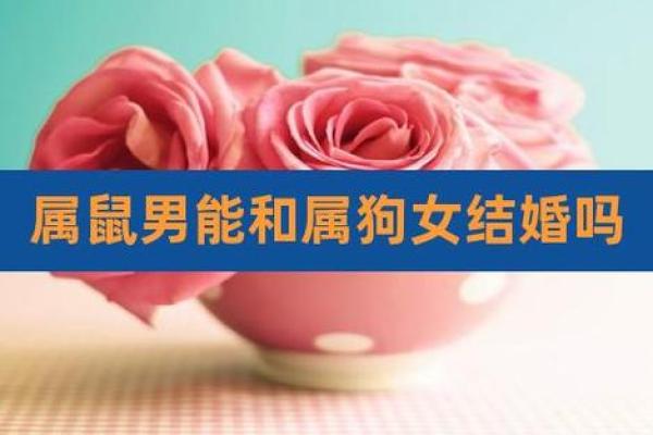 属鼠女与属狗男的爱情配对是否和谐？