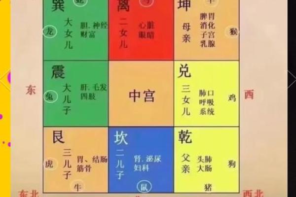 从古代哲学到现代家居设计：风水的源头和演变