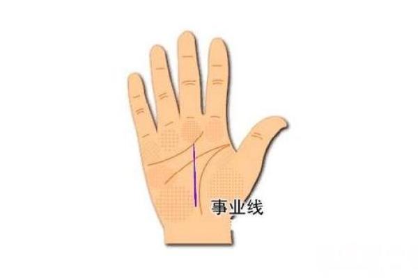 出生的人命运与事业的关系