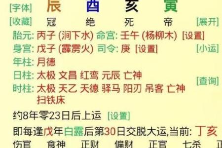 从癸巳命看个性与事业发展趋势