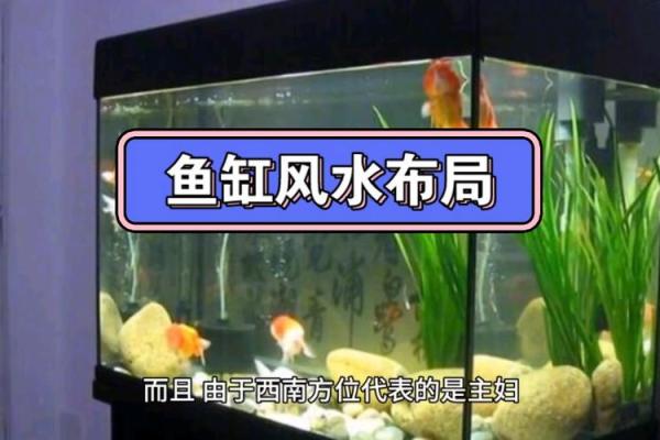 打造财运旺盛的家居环境，风水鱼缸摆放要点