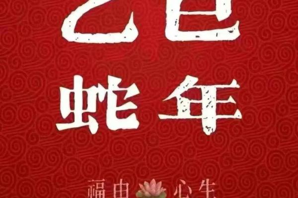 蛇生肖每月运势解析