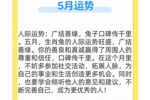 属兔人运程解析与建议