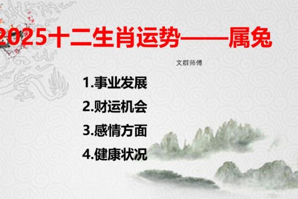属兔人运程解析与建议