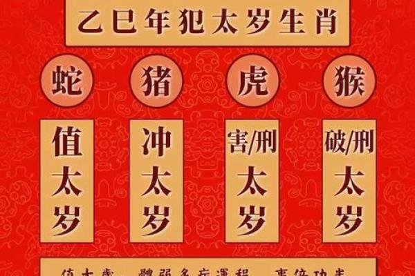 生肖运势走势：如何把握这一年机会