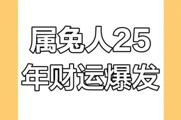 属兔人运势解析：事业与财富的全新机遇