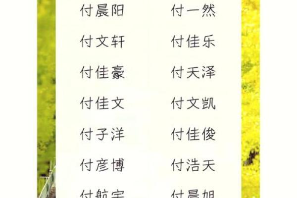 宝宝起名字免费测分，轻松找到最合适的名字