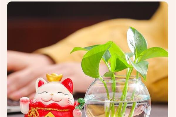 办公室摆放招财猫和鱼缸的风水影响与布局技巧