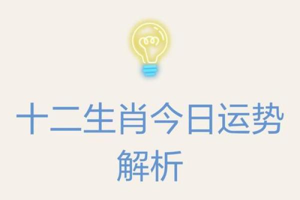 十二生肖今日运势解析：看看你的运气如何