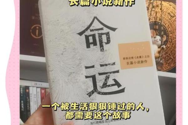 从名字看命运：一场未知的旅程