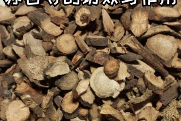 柏树命在命理学中的独特地位