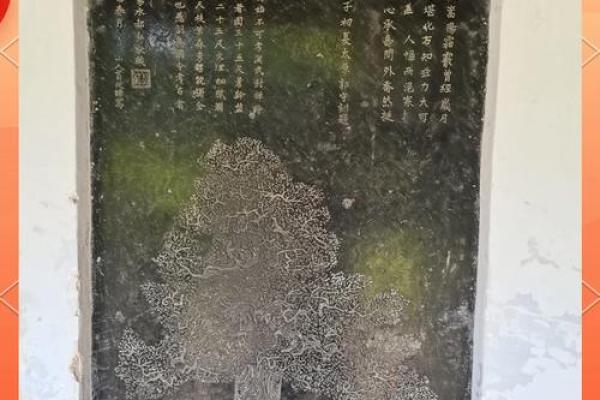 柏树命对命运的潜在影响分析