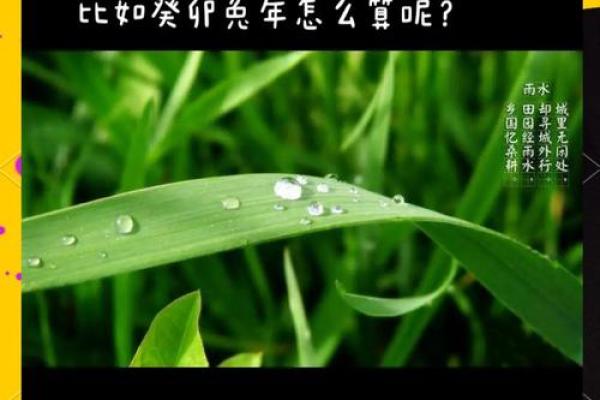 从历史到实践：农历与阳历的全面区别！