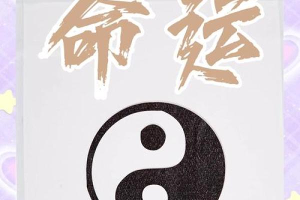 安稳命：命运与个人努力的平衡之道