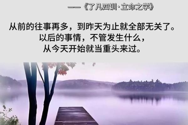 安稳命：命运与个人努力的平衡之道