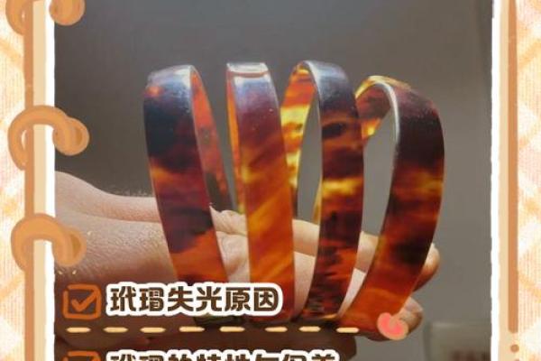 玳瑁五行属性揭秘，了解它对命运的影响