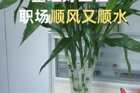 办公室风水摆设技巧，助你职场如鱼得水
