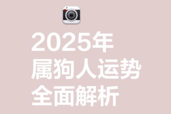 生肖狗运势吉凶详解：如何应对不利因素化解危机