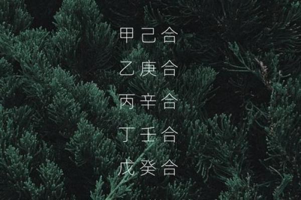 从生辰八字看你与TA的缘分深浅