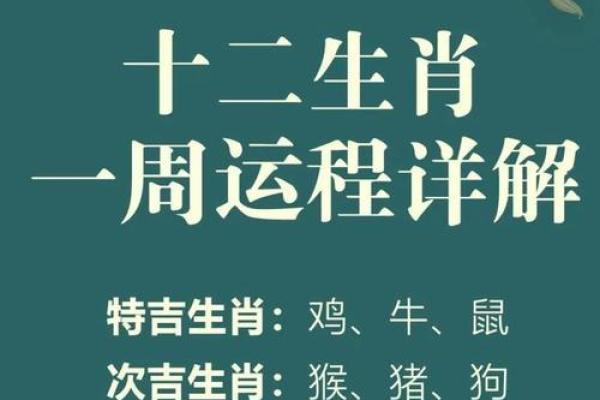 各生肖运势大揭秘：事业、爱情、财运全面分析