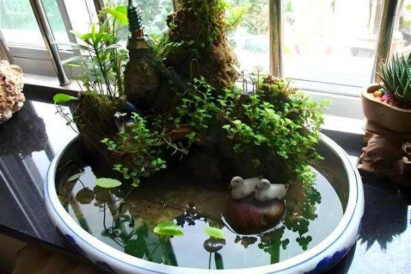 北方厕所位置对家居风水的影响与化解方法