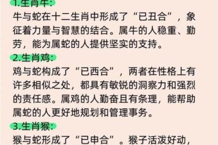 本命年蛇女如何通过风水调节运势
