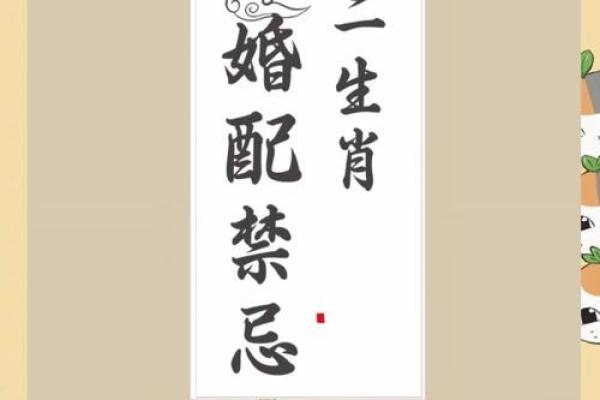男龙女兔能共度一生吗？生肖婚配解析