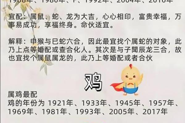 男龙女兔能共度一生吗？生肖婚配解析