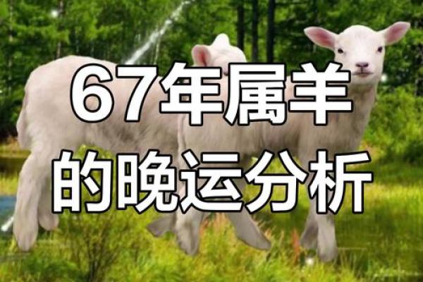 属羊人的每月运势分析，事业感情全方位指南