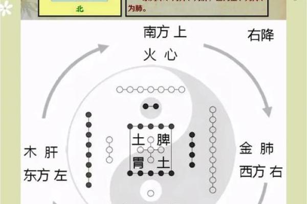 炙火五行探秘：从五行角度解读炙热之力